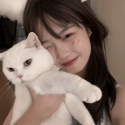 云上城之歌快手登录版下载
