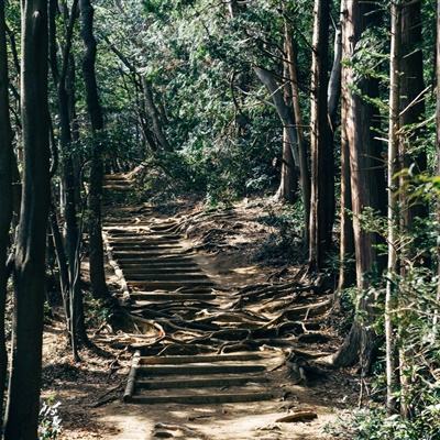砖石精灵4399游戏下载