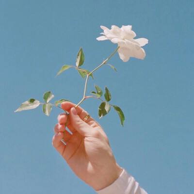 部落冲突指趣游戏盒下载