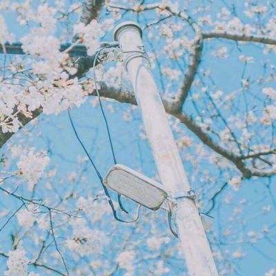 驯龙物语之梦幻神宠手游下载