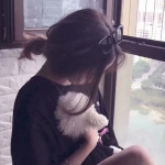 猎人王最新版下载